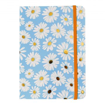 NB003 - Notebook with elastic-1.0