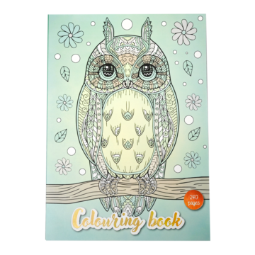 BB123 - Colouring book 240 pages XL, 2 ass. 1.0